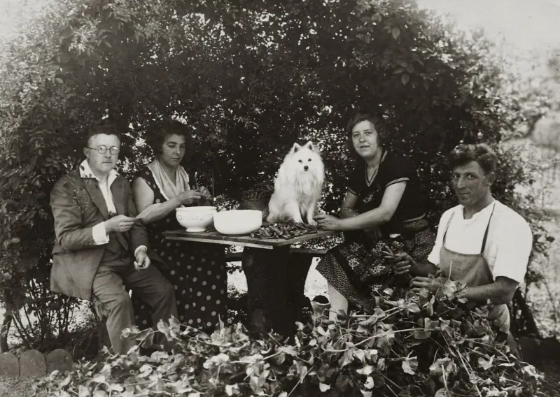 When America's Backyards Became Battlefields Against Hunger