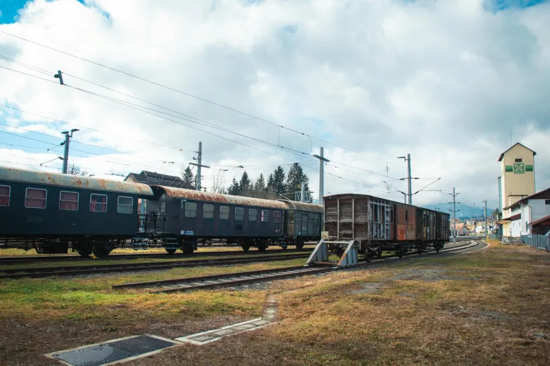 The Butcher Who Accidentally Invented Year-Round Strawberries