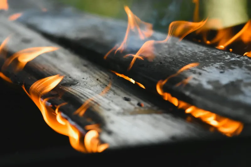 When Chicago Burned, America's Pantries Were Reborn: The Disaster That Created Modern Cooking