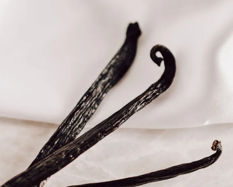 The Flavor Nobody Wanted: How Vanilla Survived Extinction to Become America's Obsession