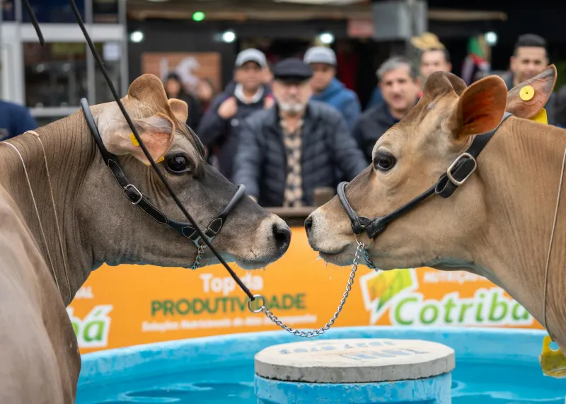 The Revolutionary Rope That Taught America How to Wait