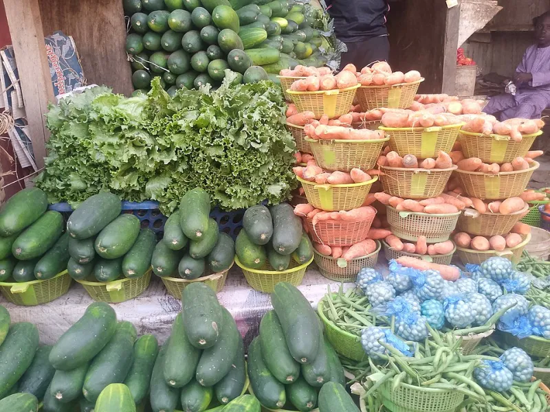 How a Side Dish Became a Statement: The Unlikely American Obsession With Salad